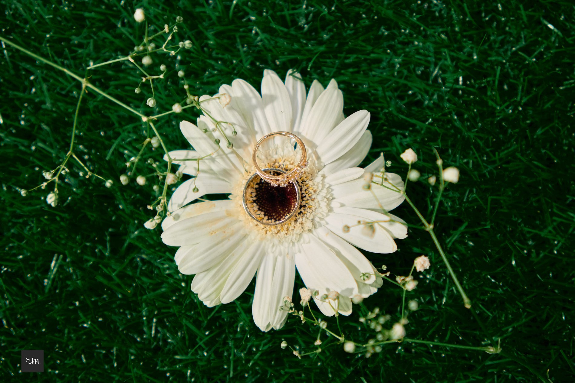 Wedding Ring Photos